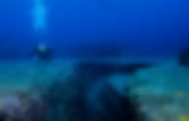 Disebut Bagian Terdalam di Planet Ini, Penyelam di Palung Mariana Terkejut, Ternyata Hanya Menemukan Benda yang Sering Kita Jumpai Ini