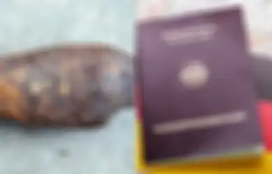 ‘Hanya’ Karena Besi Berkarat Ini, 15.000 Orang di Jerman Harus Dievakuasi, Ternyata Sebegini Bahayanya Benda Itu