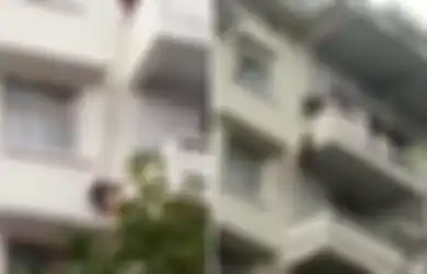 Demi Selamatkan Seekor Kucing, Pasangan Lansia Ini 'Menggantung' Cucunya yang Berusia 7 Tahun dengan Seutas Tali dan Membahayakan Nyawanya, Kok Bisa?