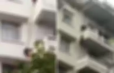 Cucu dipaksa menyelamatkan kucing dari gedung bertingkat.