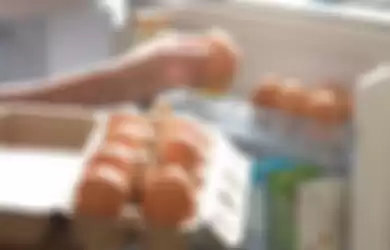 Nggak Boleh Sembarangan, Begini Cara Menyimpan Telur yang Benar di Dalam Kulkas