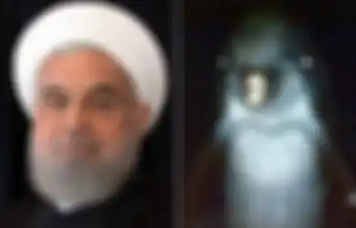 Bukan Hewan Sembarangan, Lumba-lumba Ini Adalah Pasukan Milter Iran Dilatih Membantai Musuh dan Sanggup Menghancurkan Kapal Selam dengan Cara Ini