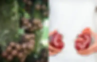Burahol alias Kepel,  Tanaman  Langka Pewangi Badan Putri Keraton Hingga Merawat Kesehatan Ginjal