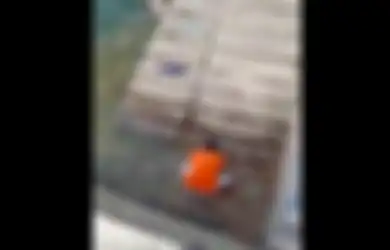 Beredar Video Ikan-ikan Loncat ke Permukaan di Perairan Gorontalo, Benarkah Pertanda Gempa dan Tsunami?