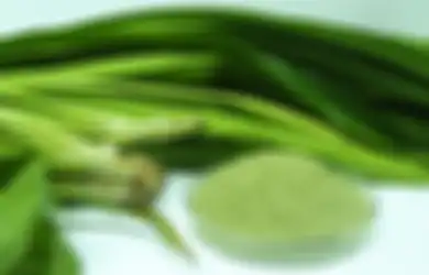 Siapa Sangka Minum Air Rebusan Daun Pandan Setiap Hari Bikin Tubuh Terhindar dari Penyakit Mematikan Ini