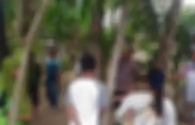 'Kayak Suara Perempuan Nangis,' Warga Berbondong-bondong Antre Tempelkan Telinga ke Pohon 'Menangis' Setinggi 20 Meter di Jember, Ladang Pak Aziz Mendadak Ramai