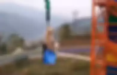 Babi dipaksa bungee jumping.