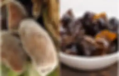 Jangan Khawatir, Jamur yang Satu Ini Bisa Kita Makan Kok, Tapi Hati-hati Bagi Wanita yang Sedang Hamil