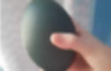 Wanita Ini Beli Telur Raksasa Seharga Ratusan Ribu, Dia Shock Ketika Temukan Hal Tak Terduga di Dalamnya