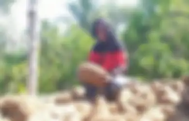 Ubah Pemulung Jadi Miliarder, Siapa Sangka Tanaman yang Dulu Dibuang-buang Ini Ternyata Dapat Bikin Kaya Raya: Hasilkan Rp 12,5 Juta Per Hektar