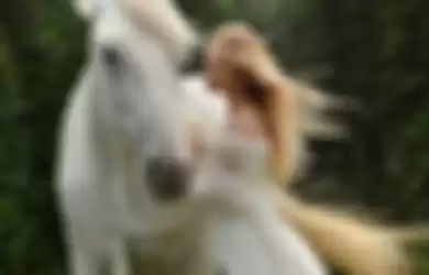 Ilustrasi kuda putih