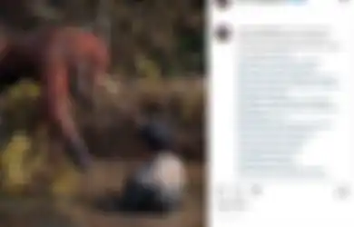 (Foto) Momen Menyentuh Saat Seekor Orangutan Mengulurkan Tangan ke Pria yang Masuk ke Kolam Penuh Ular
