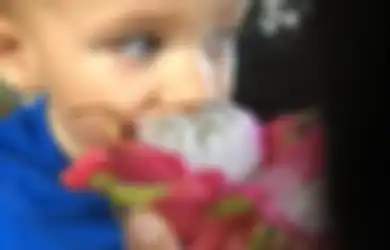 Sebagai Makanan Pendamping ASI Ini 11 Manfaat Buah Naga untuk Bayi, dari Memperkuat Rambut Hingga Sembuhkan Sembelit