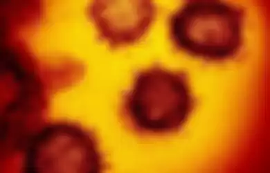 Gambar mikroskop elektron transmisi yang menunjukkan coronavirus baru yang muncul dari permukaan sel manusia