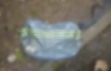 Temukan Tas Mencurigakan di Taman, Orang Ini Terkejut Isinya Anjing yang Tewas dalam Kondisi Mengerikan