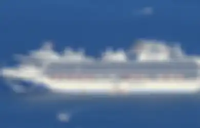 Di Tengah Karantina Virus Corona, Begini Kisah WNI di Kapal Pesiar Jepang yang Bekerja di Lingkungan Penderita: 'Minta Tolak Angin hingga Mie Instan'