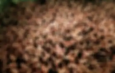 Banyak Acara Pernikahan Dibubarkan Polisi: Awas, Mereka yang Masih Suka Berkumpul di Tengah Wabah Covid-19 Seperti In  Bisa Dipidana!