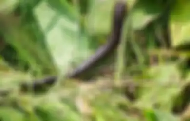 Berkaca Dari Virus Corona, Sosok Ini Tanpa Sengaja Temukan Cara Pencegahan Agar Epidemi Mengerikan Seperti Ini Bisa Dicegah