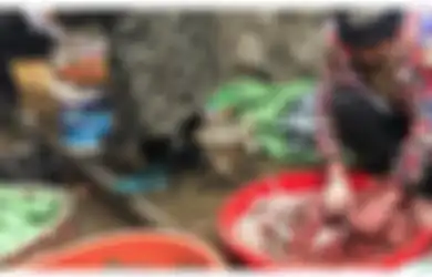 Terungkap Asal Muasal Penyebaran Virus Corona, Ternyata Bukan dari Pasar Seafood di Wuhan, Begini Analisis Terbaru Ilmuwan