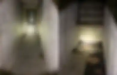 Sewa Rumah Lawas, Pria Ini Temukan Pintu Misterius yang Tidak Diungkapkan Pemiliknya, Setelah Masuk ke Dalamnya Fakta Mengerikan Tentang  Rumah Tersebut Terungkap