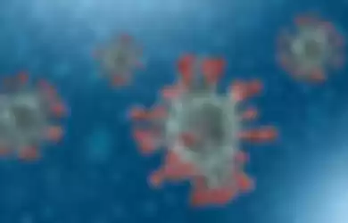 Virus corona. 