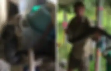 Dianggap Menyebarkan Infeksi Kurap, Seekor Kucing Ditaruh di Luar Rumah, Namun Ular Piton Sepanjang 3 Meter Melahapnya Utuh: Dia Hanya Membunuh Tikus dan Mencintai Kita
