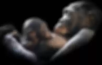 Ilustrasi monyet melahirkan
