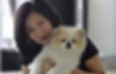 Belum Selesai Virus Corona 'Dibungkam', Anjing di Negara Ini Positif Terinfeksi Virus Corona, Buktikan Teori Anjing Dapat Sebarkan Virus Mematikan Ini
