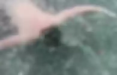 Jason Clark membuat video TikTok dalam danau beku di Utah, Amerika Serikat.