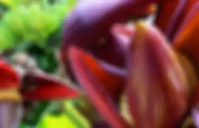 Wajib Diketahui Orangtua, Inilah 5 Manfaat Jantung Pisang untuk Anak!
