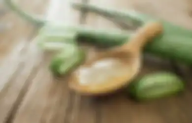 Obat Alami Penurun Panas Tinggi, Cukup Gunakan Tanaman Lidah Buaya, Begini Cara dan Langkah-langkahnya!