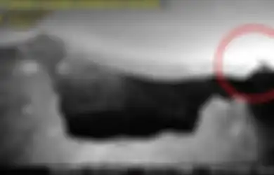 CCTV Rekam Seekor Anjing Berdiri di Atas Kawah Gunung Agung Bali, Begini Kata PVMBG dan BPBD Terkait Foto yang Menyita Perhatian Publik Tersebut