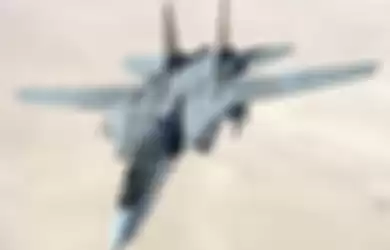 Senjata Makan Tuan, Digadang-gadang Sebagai Pesawat Tercanggih, Rudal Sparrow di Grumman F-14 Tomcat Milik AL Amerika Pernah Merudal Diri Sendiri Dan Satu-satunya di Dunia!