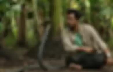 Panji Petualang bersama ular king cobra kesayangannya yang bernama Garaga.