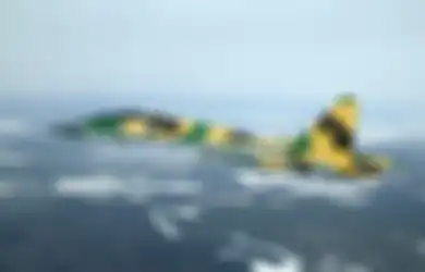 Dibayangi 'Persaingan yang Tidak Adil dan Melanggar Norma Bisnis yang Sah', Indonesia Diancam Sanksi oleh AS Jika Beli Senjata dari Rusia dan China