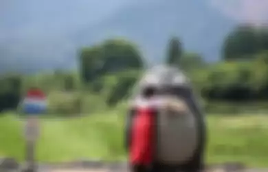 Halte bus Totoro buatan kakek nenek di Jepang