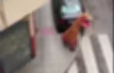 Warga Spanyol yang keluar rumah dengan kostum T-Rex saat lockdown