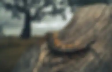 Dari Penghisap Darah Hingga Kelabang Raksasa Sepanjang 3 Meter yang Menyeret Rusa, Ini Dia 5 Monster Misterius yang Pernah Ditemui Manusia