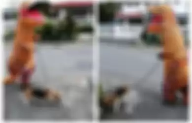 Biar Nggak Kena Virus Corona, Orang Ini Ajak Jalan-jalan Anjingnya Pakai Kostum T-Rex