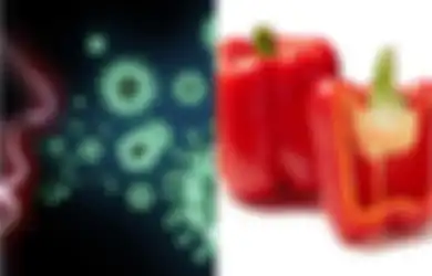 Hadapi Corona: Ini 15 Makanan untuk Tingkatkan Sistem Kekebalan Tubuh, Salah Satunya adalah Paprika Merah