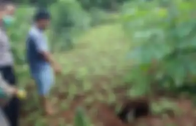 Tengah Bersihkan Rumput Bersama, Saat Menengok Istri Pria Ini Hilang, Ternyata Terperosok dalam Lubang Ini