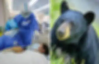 Sudah Dikecam Dunia Untuk Hentikan Konsumsi Satwa Liar, China Malah Tawarkan Obat Covid-19 yang Dibuat dari Empedu Beruang
