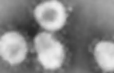 Virus corona saat dilihat menggunakan mikroskop