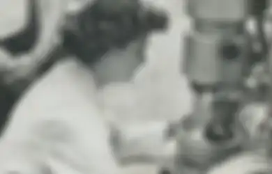 Mengenal Sosok Penemu Virus Corona Pertama di Dunia Tahun 1965, Seorang Anak Sopis Bus yang Punya Prestasi Cemerlang