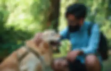 Kabar Baik Bagi Para Pecinta Hewan, Penelitian Menunjukkan Hewan Peliharaan Sulit Terpapar Virus Corona dan Tularkan ke Manusia