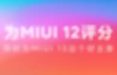 MIUI 13 survey