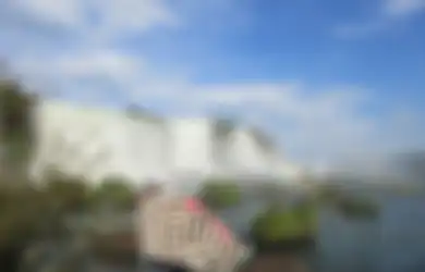 Mulai dari Monyet Terkecil di Dunia Sampai Jamur Berbentuk Net Voli, Ini Dia Makhluk Hidup Eksotis yang Ditemukan Pasangan ini Setelah Mengasingkan Diri di Belantara Amazon