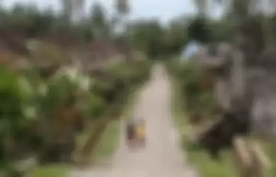 Pulau Dewata Disebut 'Kebal' Corona, Bupati Gigit Jari saat Kecolongan Satu Desa di Bali Positif Corona: Sampe Bingung Tidak Bisa Berfikir!