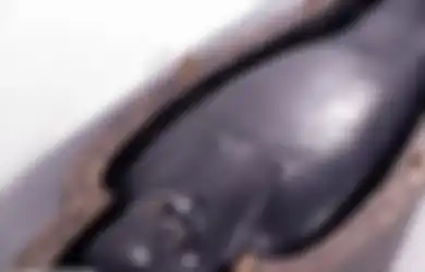 Misteri 'Black Goo' Cairan Hitam yang Melapisi Mumi 'Elit' Mesir Kuno Terungkap, Terbuat dari Beragam Bahan, Tujuan Pemakaiannya Berkaitan dengan Kepercayaan akan Dewa