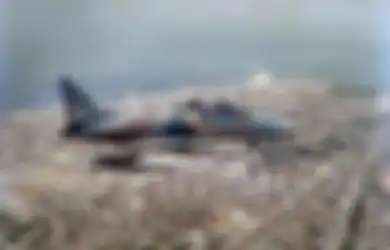 Keberadaan Negaranya 'Diharamkan' Masyarakat Seantero Nusantara, Diam-diam Israel Jual 4 Alutsista Ini ke Indonesia, dari Pesawat Tempur Hingga Drone